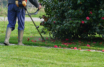 Entretien d'espaces verts